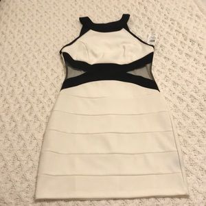 NWT Women’s white and black dress